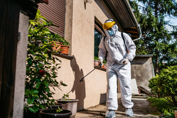 Best Best Pest Control Companies  in Hodgenville, KY