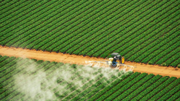 Best Pest Prevention Services  in Hodgenville, KY